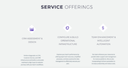 coResolute's previous website and positioning