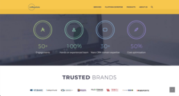 coResolute's previous website and positioning