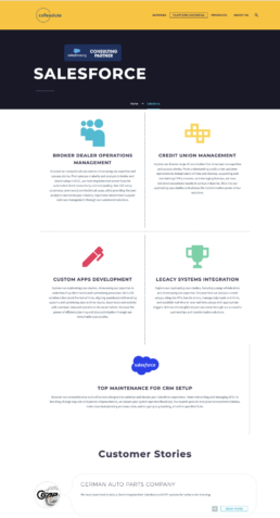 coResolute's previous website and positioning