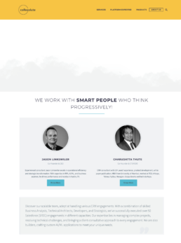 coResolute's previous website and positioning