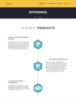 coResolute's previous website and positioning