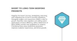 coResolute's previous website and positioning